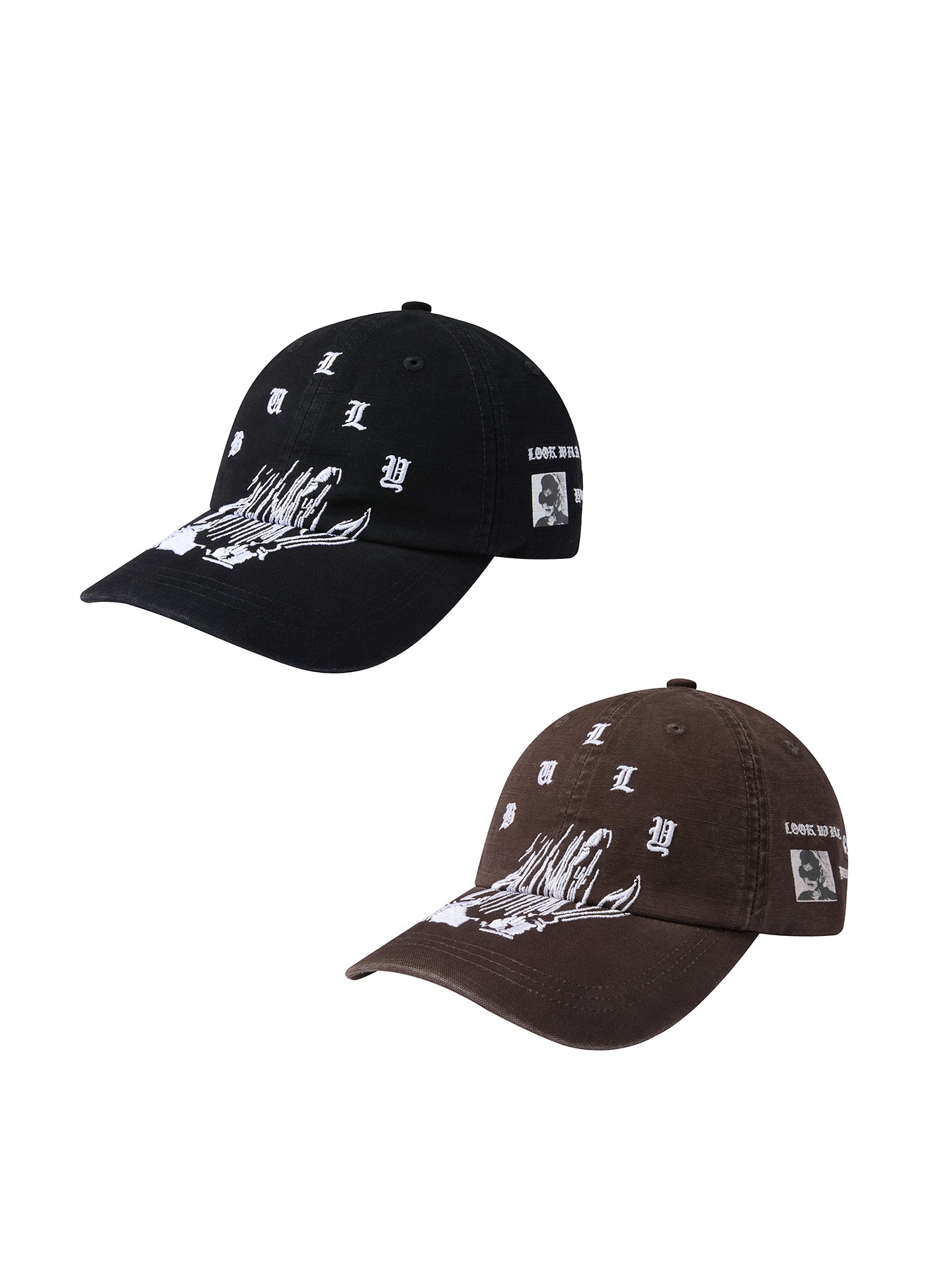 RECORDS INC. BULLY CAP